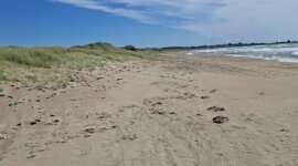 naaktstrand lynga bad is een zandstrand met lage duintjes