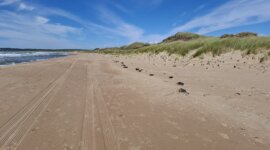 naaktstrand lynga bad is een lang zandstrand