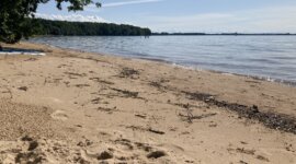 Naaktstrand Vätterviksbadet is een zandstrand met helder water