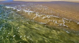 helder zeewater op Naaktstrand Ilha de Armona