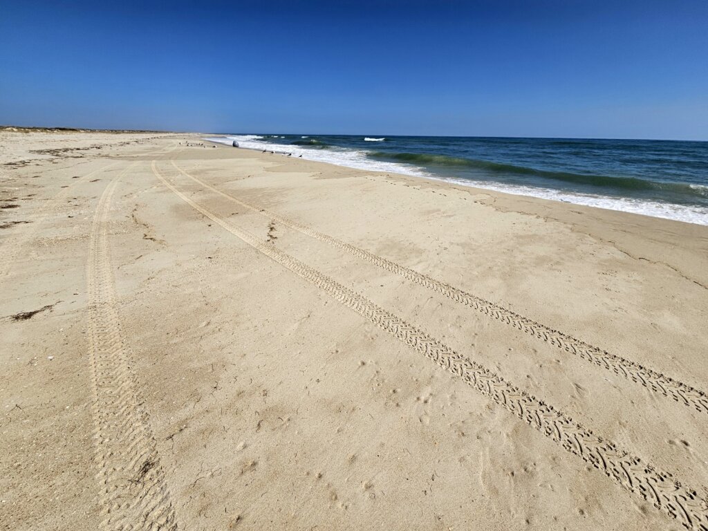 Naaktstrand Ilha de Armona is een prachtig zandstrand