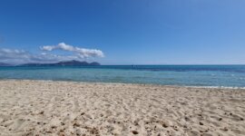 zand en zee op naaktstrand playa del muro op het eiland Mallorca