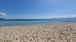 lang en breed Naaktstrand Playa del Muro op mallorca Spanje