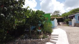 tuin en terras van naturisten accommodatie dos iguana op Bonaire