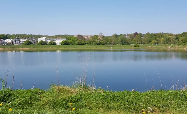 NFN in gesprek over naaktrecreatie aan Arnhemse Plas van Bruil