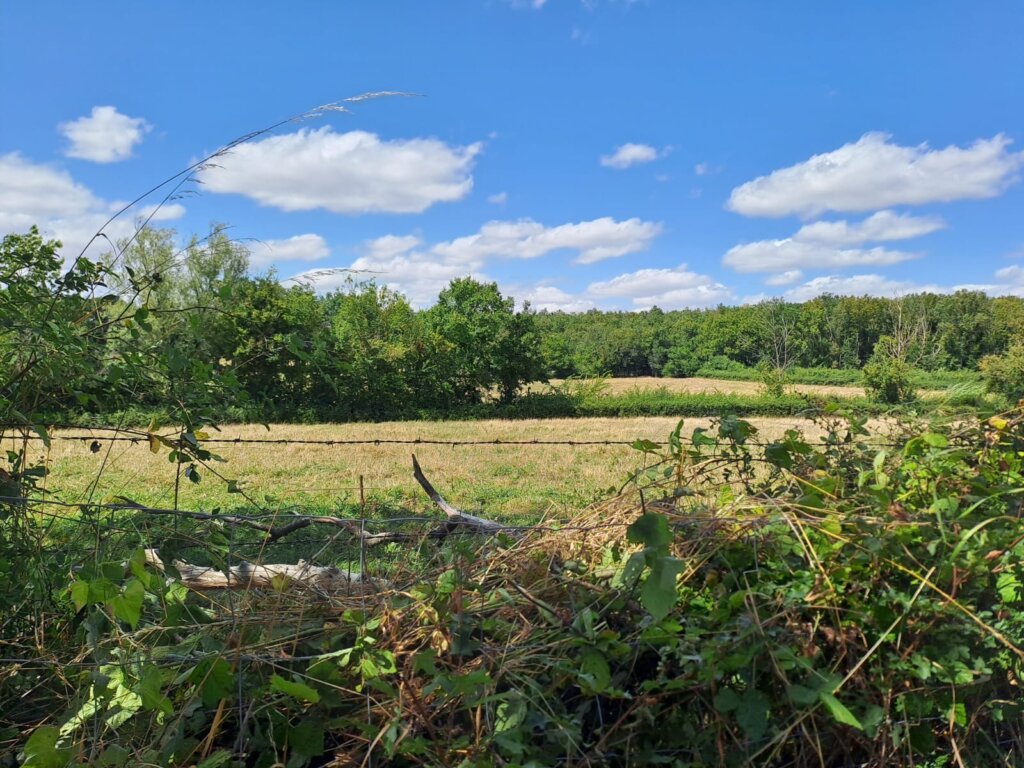 Naturistencamping Givardon in departement Cher Frankrijk