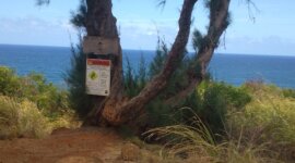 Waarschuwingsborden op Naaktstrand Larsen's Beach (Lepeuli) Hawaii