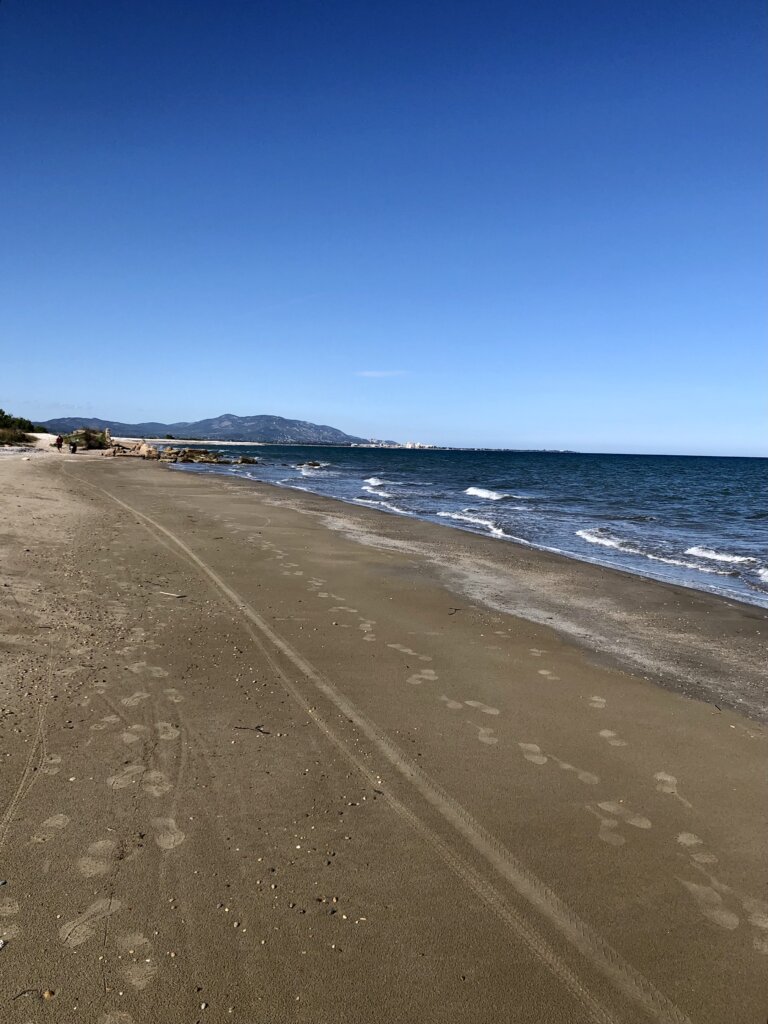 uitgestrekt Zandstrand Nudisme Cala Cabanes