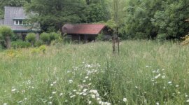 Bloot recreëren in Naturisten Accommodatie Vakantiehuis Eden