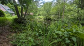 naturisten vakantiehuis in Zuid-Limburg