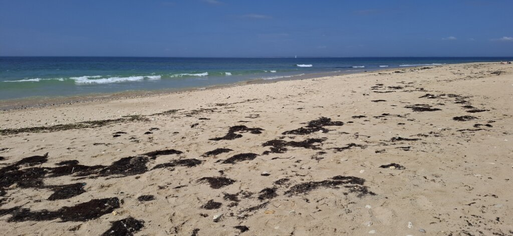 zandstrand met schelpen en branding van Plage naturiste du Lisay
