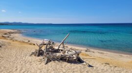 aangespoeld hout op Naaktstrand di Monti Russo