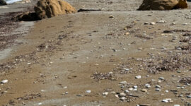 Naaktstrand Katounes Beach is een zandstrand omgeven door rotsen